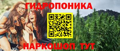 дживик Лесосибирск