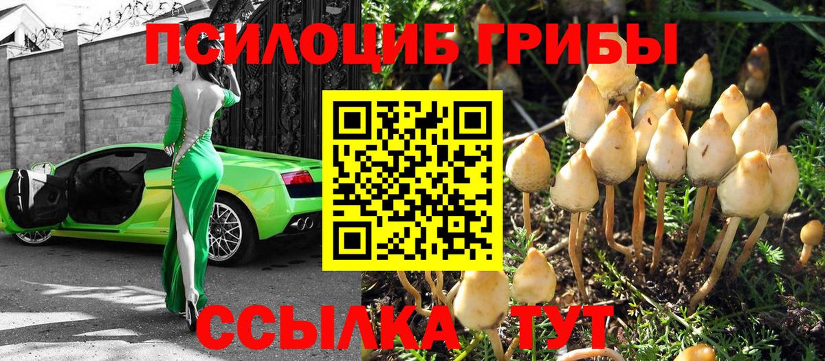 Псилоцибиновые грибы прущие грибы  Галлюциногенные грибы Psilocybine cubensis  Долгопрудный  Вход с VPN 