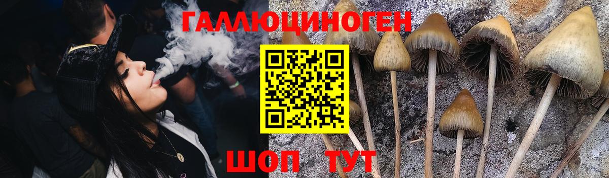 Псилоцибиновые грибы GOLDEN TEACHER Долгопрудный